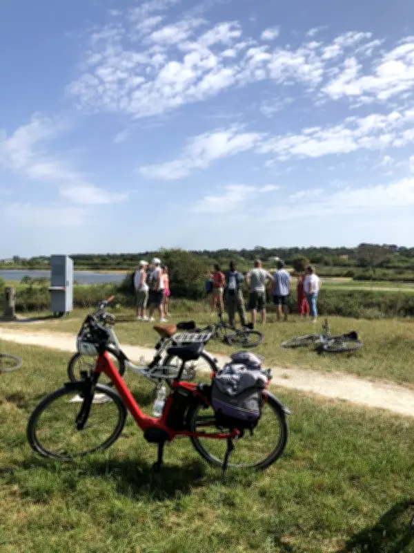 Île d'Oléron : la saison culturelle s'ouvre avec ateliers créatifs et balades gourmandes