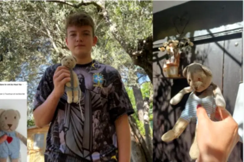 Le doudou perdu il y a 11 ans retrouvé par hasard à Tourtour, il avait côtoyé Brad Pitt