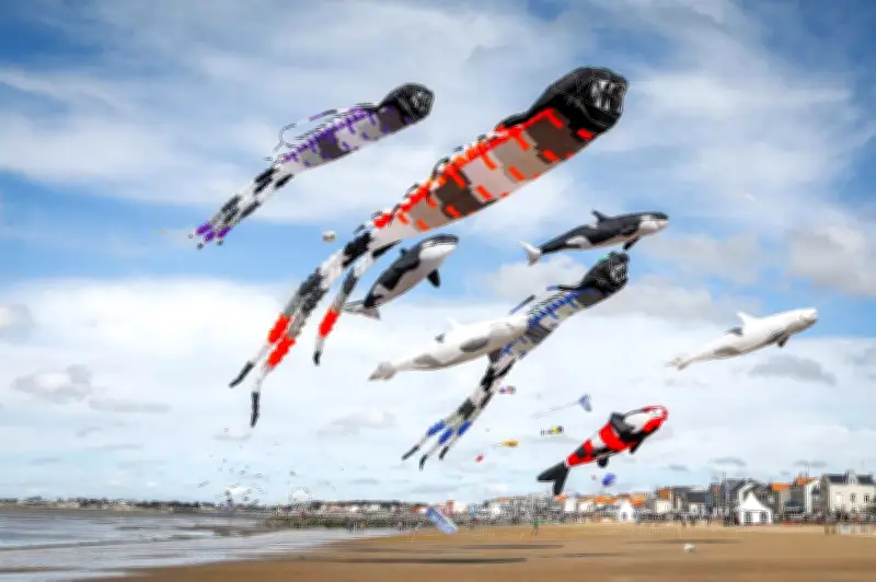 Le festival international du cerf-volant de Châtelaillon revient en 2026