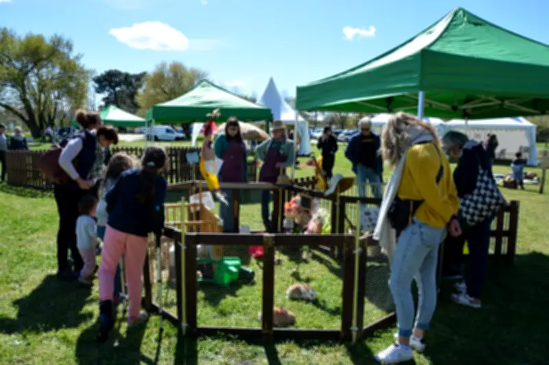 Le festival Territoires Sauvages célèbre les mondes aériens au Teich