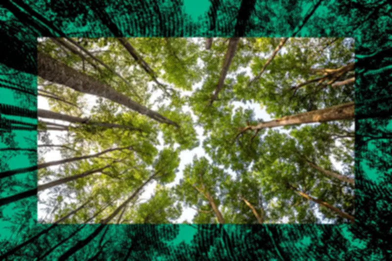 Le Fil Vert : l'anti-émission qui révèle les réalités environnementales