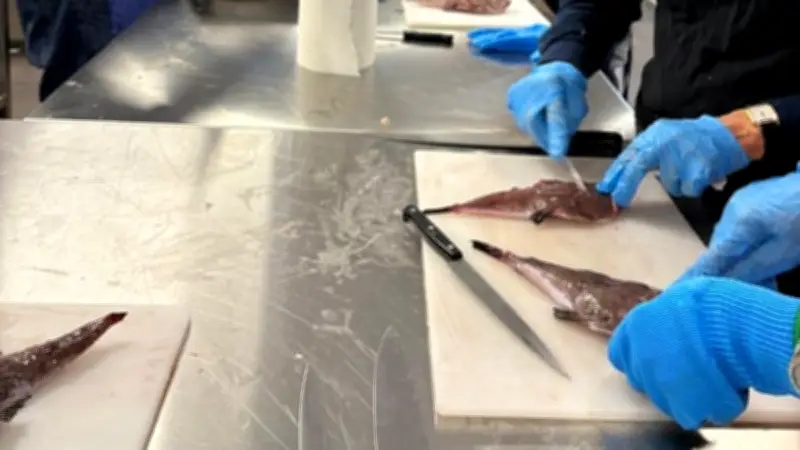 Le FPCL lance son programme printanier avec atelier de découpe à la Criée d'Agde