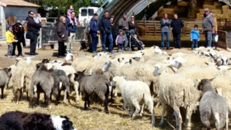 Le Gard de ferme en ferme : trois exploitations ouvrent leurs portes pour un week-end découverte