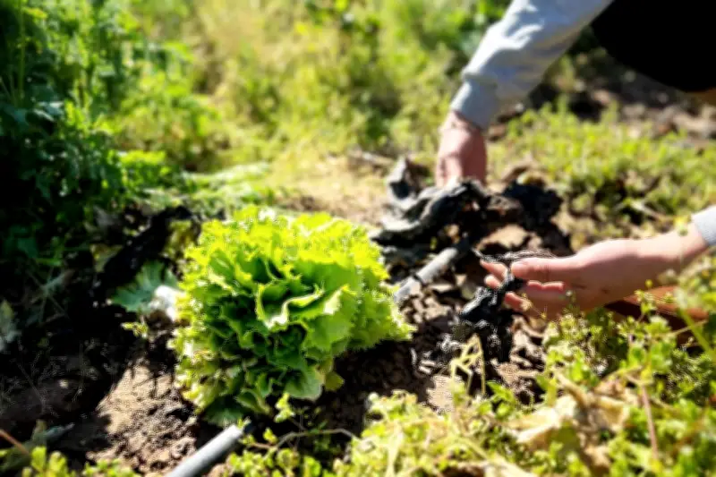 Le gouvernement instaure une instance départementale pour un contrôle unique annuel des agriculteurs
