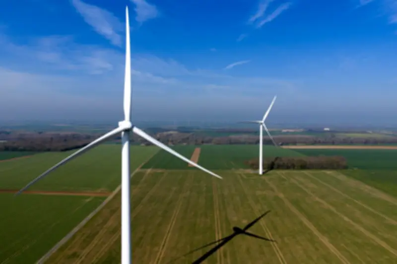 Le gouvernement relance les appels d'offres pour les énergies renouvelables et vise le leadership de l'éolien flottant