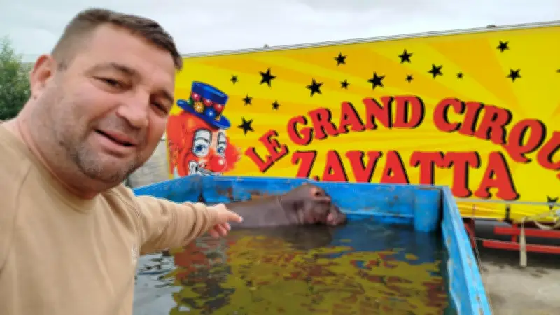 Le Grand Cirque Zavatta défie la justice à Mérignac malgré les plaintes