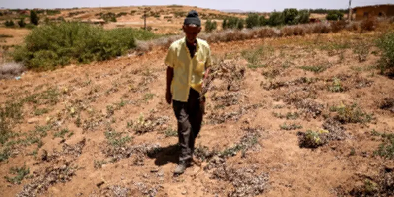 Le Gulf Stream, régulateur climatique européen, menace de s'affaiblir plus que prévu