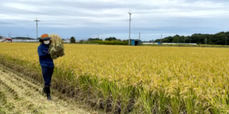 Le Japon teste une prime controversée pour dénoncer les travailleurs clandestins