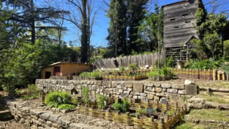 Le jardin médiéval de l'abbaye : un voyage botanique dans le temps