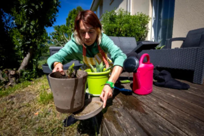 Le jardinage, une thérapie verte pour le corps et l'esprit
