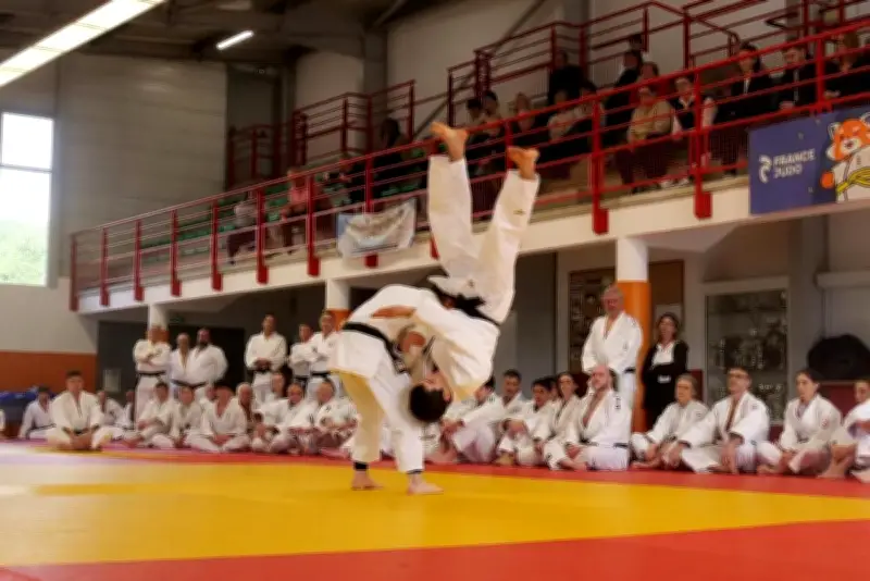 Le judo landais se mobilise contre les violences sportives à Dax
