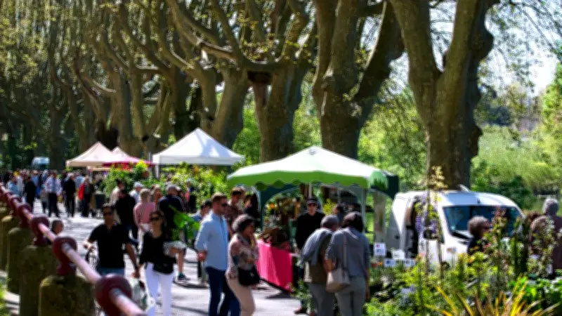 Le marché aux fleurs de Sommières attire la foule sous le soleil printanier