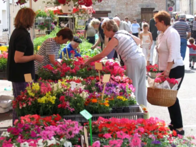Le Marché aux fleurs de Tonneins revient le 1er mai avec un volet écologique