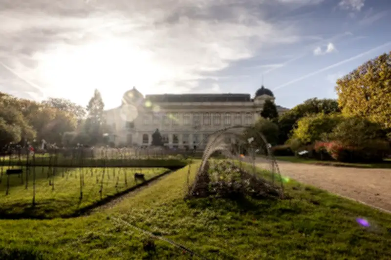 Le Museum d'Histoire Naturelle en péril : 120 bâtiments et 150 urgences signalés