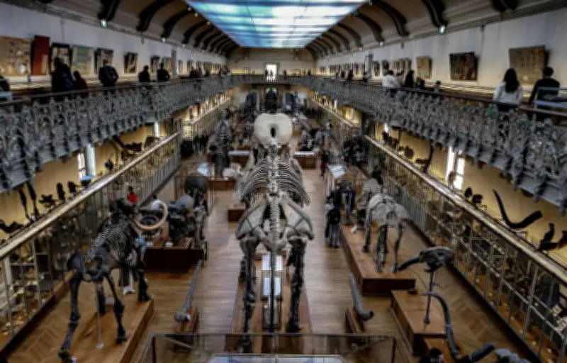 Le Muséum d'Histoire naturelle en péril : un patrimoine de 400 ans se dégrade