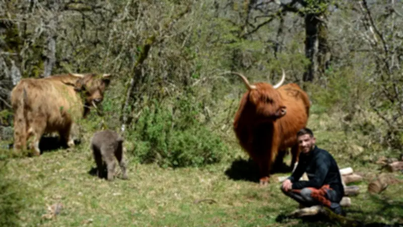 Le parc animalier du Theil ouvre sa nouvelle saison avec des naissances et nouveautés