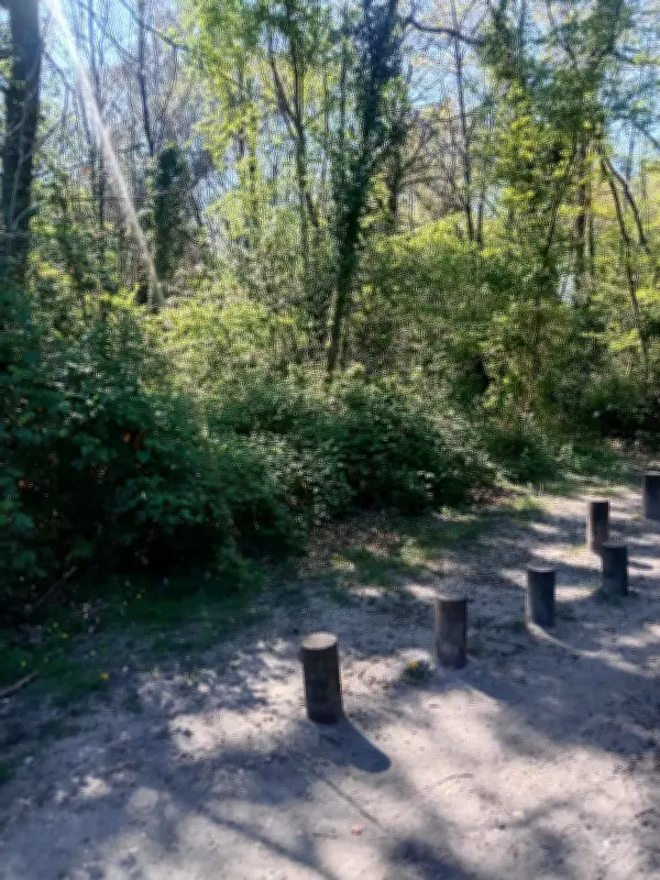 Le parc de Sallegourde, un havre de nature accessible pour les Villenavais au printemps