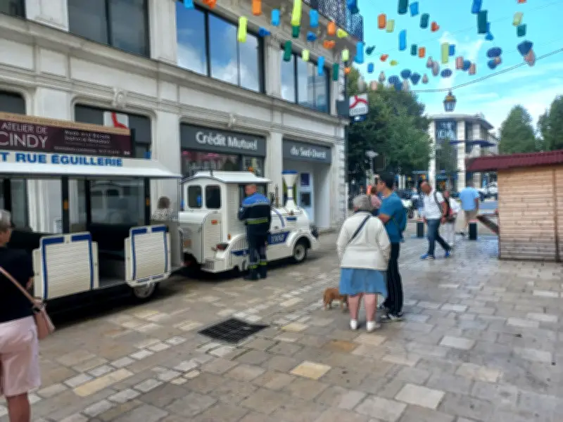 Le petit train touristique de Périgueux autorisé à reprendre du service après réparation