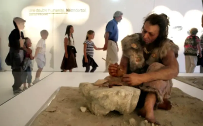 Le Pôle International de la Préhistoire des Eyzies : 15 ans d'histoire et d'évolution