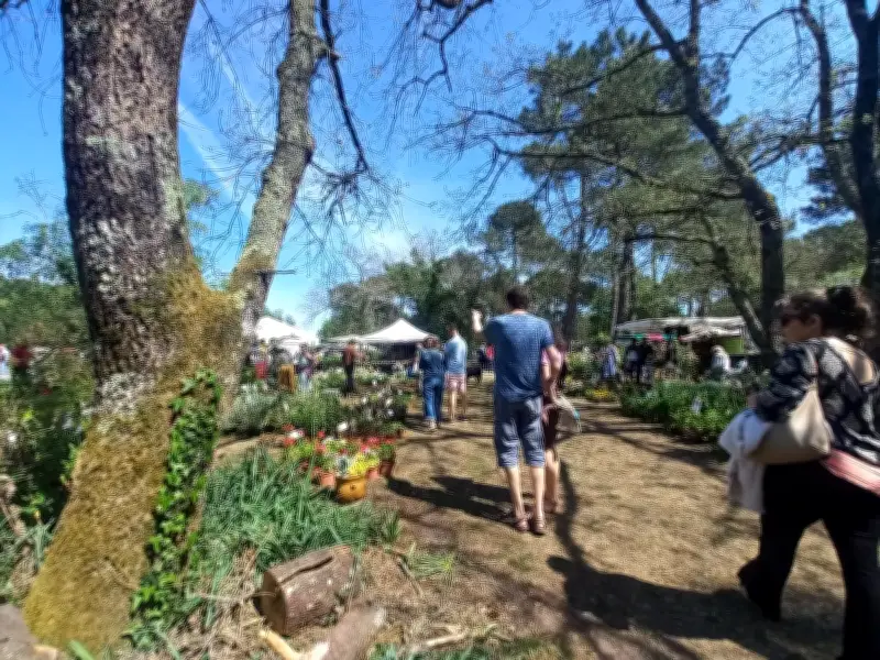 Le Printemps de Bourgailh célèbre la renaissance écologique d'une ancienne décharge