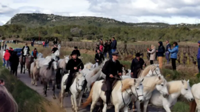 Le Printemps des Roumanières célèbre ses 15 ans avec une roussataïo mémorable