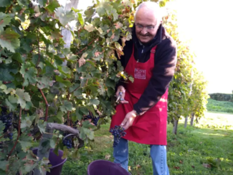 Le Printemps des vins de Blaye : l'histoire d'une idée née d'une inspiration rhodanienne