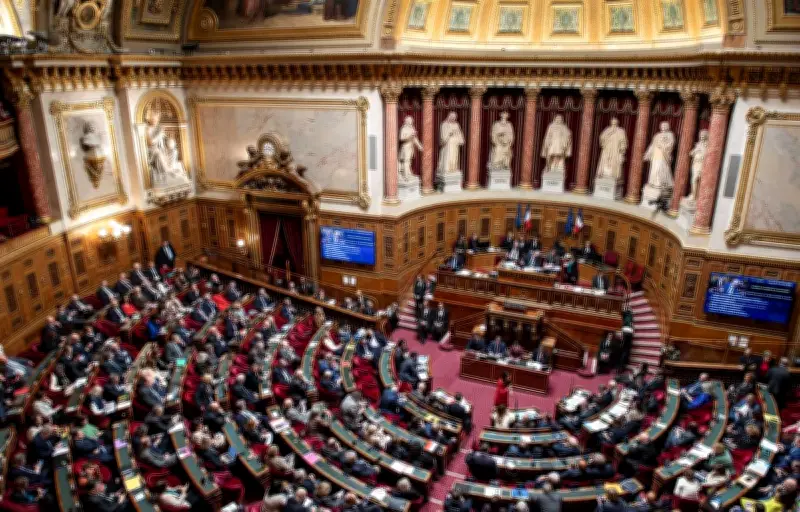 Le Sénat examine une loi pour abolir le « devoir conjugal » et prévenir les violences sexuelles