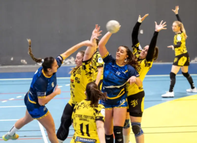 Le Stade Montois s'enfonce après une 7e défaite face à Tardets en N2F