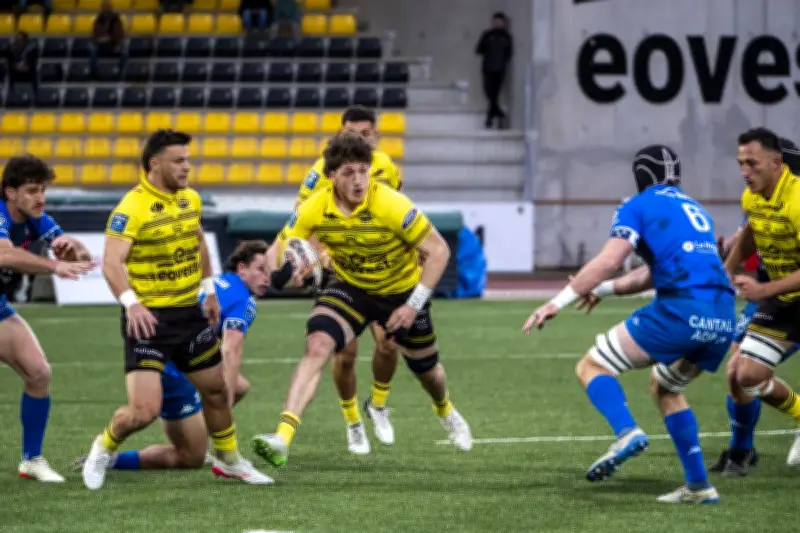 Le Stade Montois s'impose sans convaincre mais confirme sa dynamique à domicile