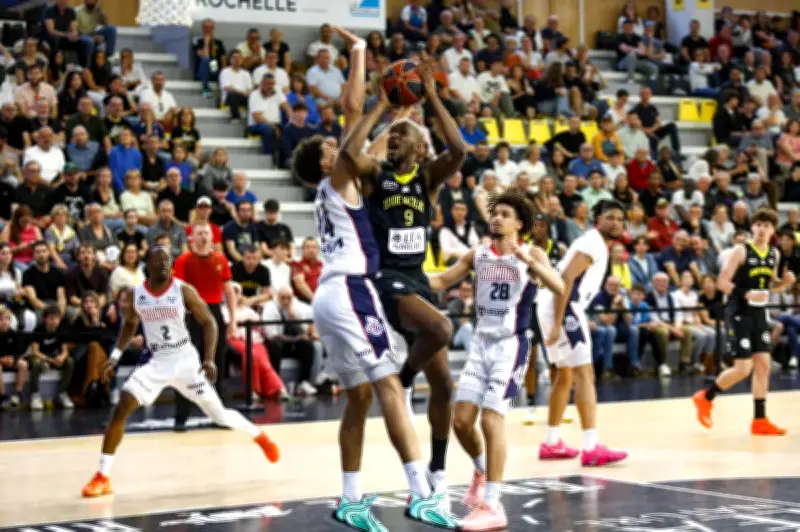 Le Stade Rochelais Basket réagit en Normandie après deux défaites à domicile