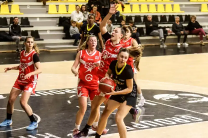 Le Stade Rochelais féminin lutte pour le maintien après une défaite face à Smash Vendée