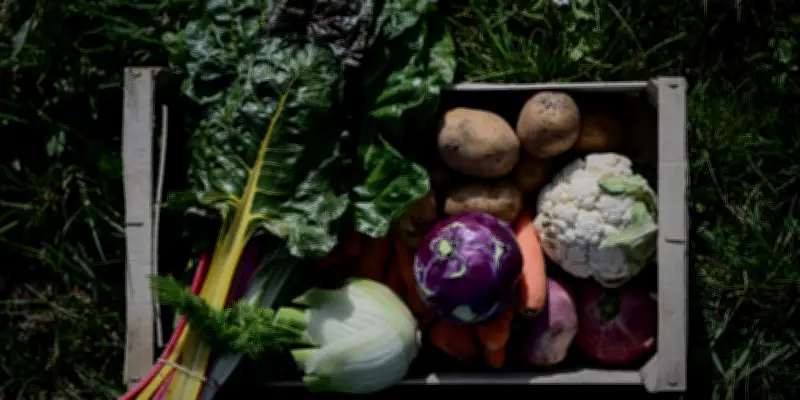 Le syndicat bio écope de 12,67 millions d'euros d'amendes pour pratiques anticoncurrentielles