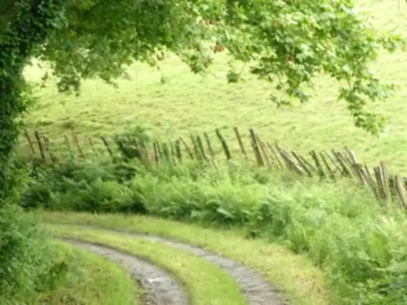 Le Trail du Xarnegu : une course nature inédite au cœur des collines basques en 2026