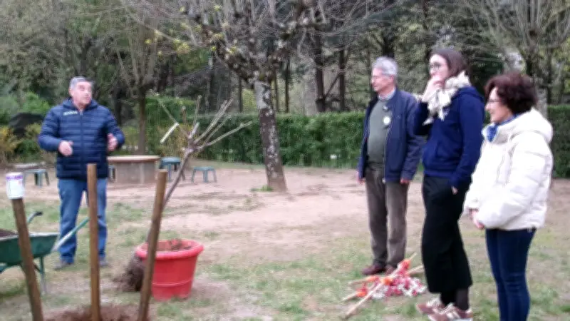 Le Val de l’Hort fête 40 ans d’accueil et plante un plaqueminier à kakis