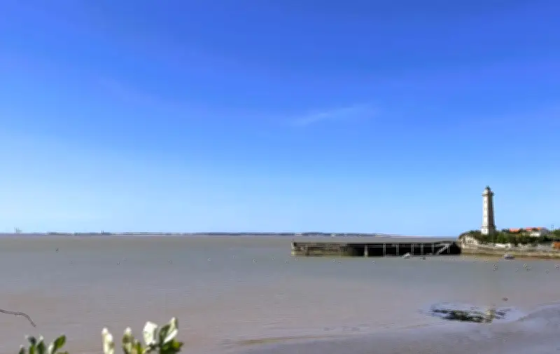 Le Verdon-sur-Mer rejette unanimement une ferme à saumon dans l'estuaire
