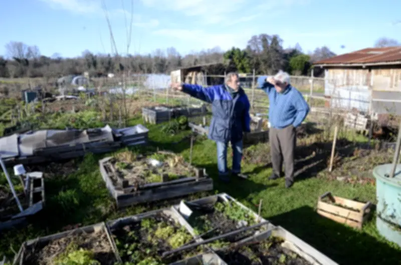 Le Vert de terre reprend ses activités de jardinage naturel à Saint-Médard