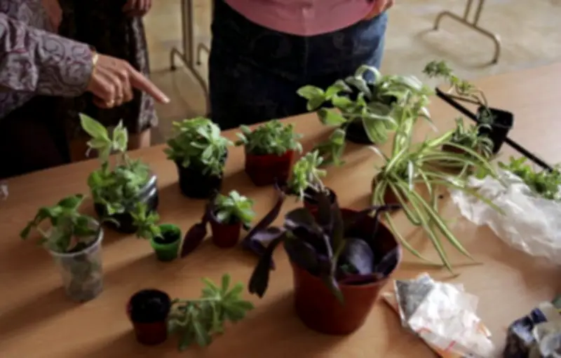 Leboncoin, bien plus qu'une plateforme d'occasion : des rencontres humaines inattendues