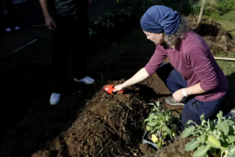 Les 48 heures de l'agriculture urbaine de retour à Bordeaux pour célébrer la nature en ville