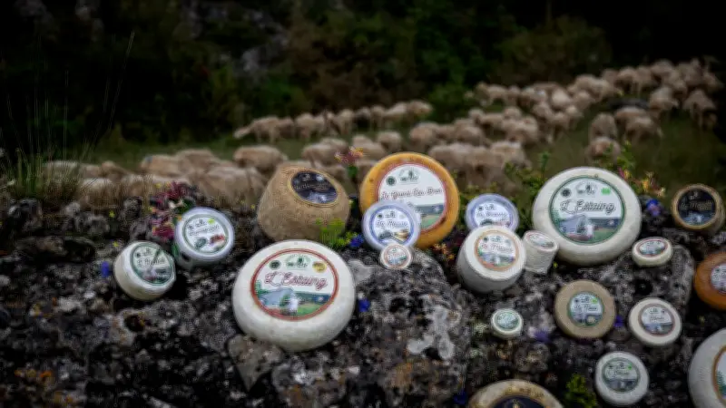 Les Bergers du Larzac : 30 ans de fromage célébrés par un livre