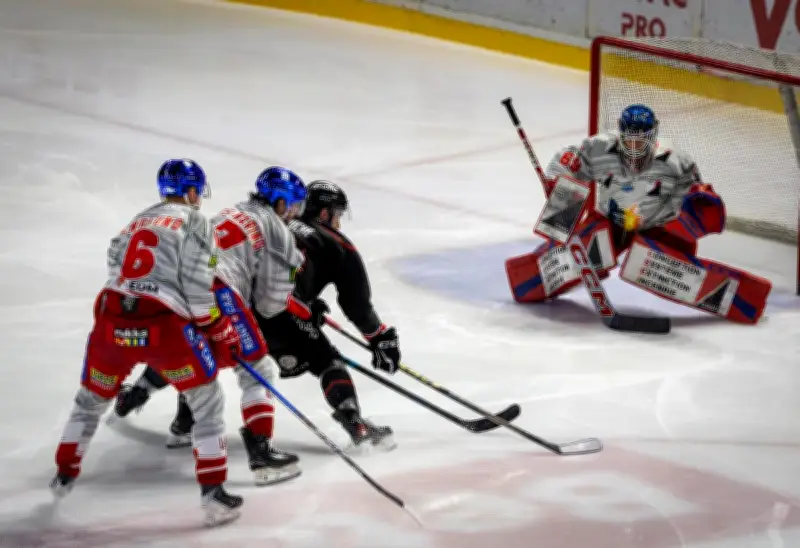 Les Boxers de Bordeaux à une victoire du titre après une nouvelle démonstration face à Grenoble