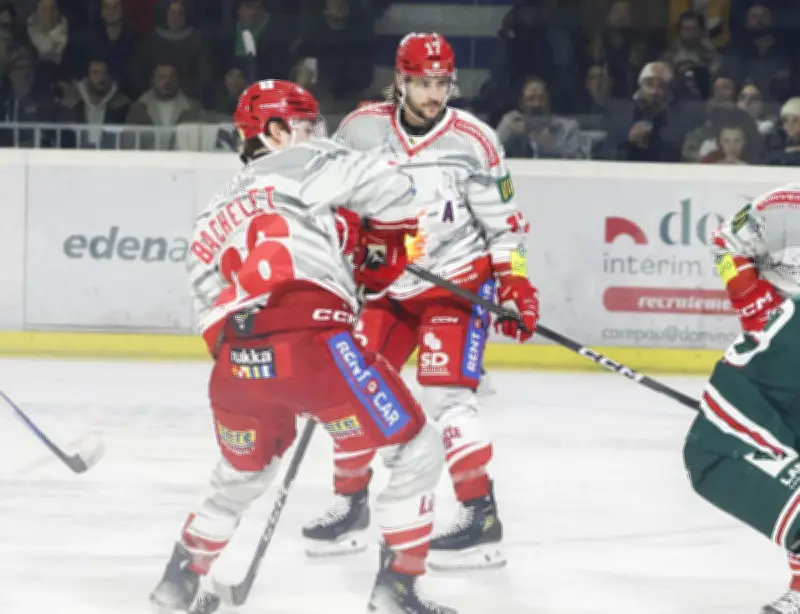 Les Brûleurs de loups de Grenoble en finale pour défendre leur titre face à Bordeaux