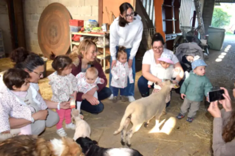 Les enfants de la MAM découvrent l'élevage ovin bio dans une sortie pédagogique