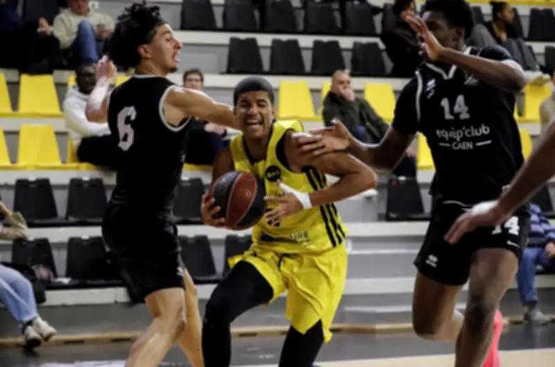 Les Espoirs du Stade Rochelais affrontent Saint-Chamond en 8es de finale de playoffs