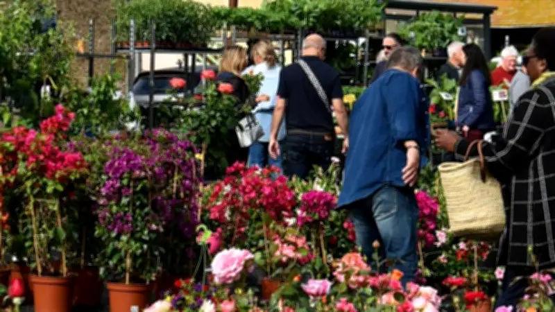 Les Floralies de Florensac : un rendez-vous printanier incontournable le 26 avril