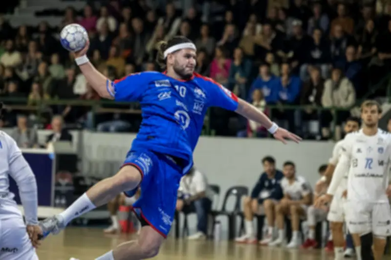 Les Fox de Saintes visent la revanche face à Saran en Proligue de handball