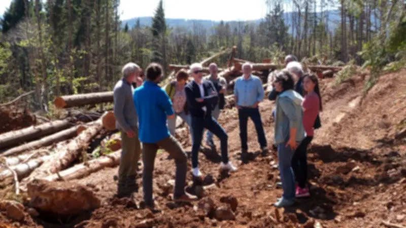 Les groupements forestiers dressent le bilan après la tempête Nils dans l'Hérault