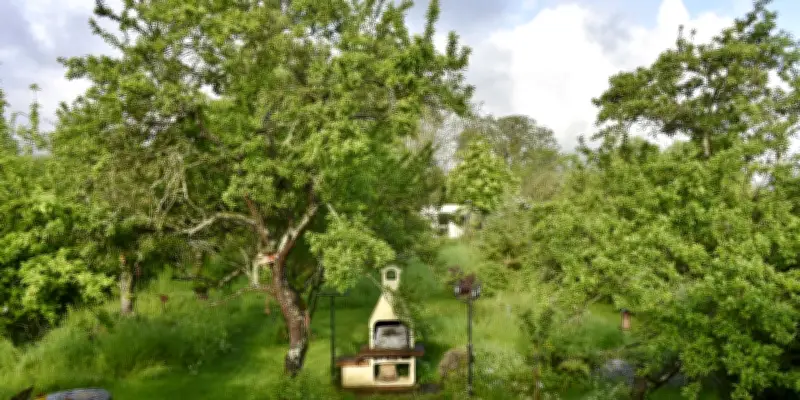 Les jardins privés, refuges cruciaux pour la biodiversité mais menacés