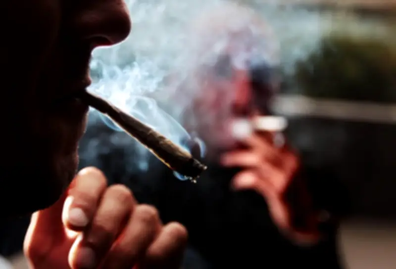 Les ministres conservateurs allemands dénoncent la loi sur le cannabis et exigent des révisions