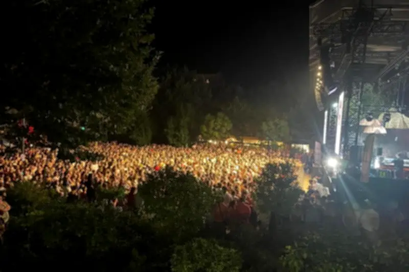 Les Nuits du Sud innovent : des showcases en boulangeries pour découvrir les talents émergents