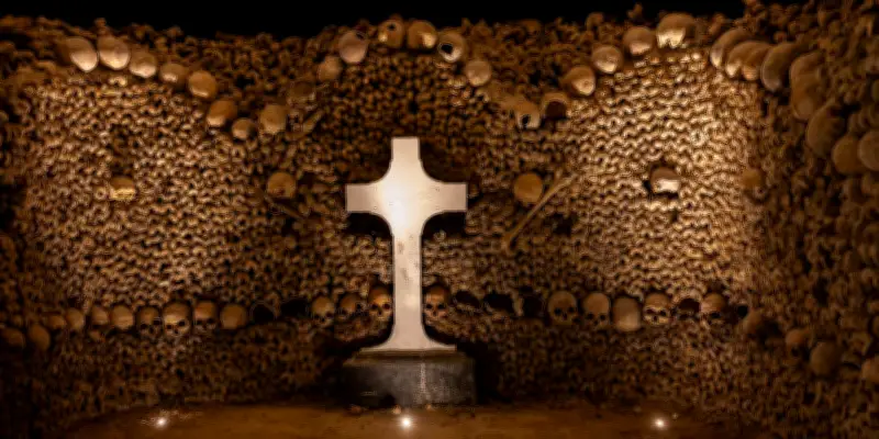 Les restes humains dans les musées et laboratoires : un débat éthique sensible